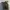 Dickies Streetwear Sportswear Bag Pria multicolor photo 7