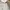 ZARA Luxury Casual Wanita white photo 4