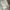 ZARA Luxury Casual Wanita white photo 3