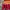 Streetwear Sweatshirt Pria white red yellow photo 3