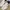 Nike Sportswear Sneakers Pria white navy photo 5