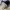 Nike Sportswear Sneakers Pria white navy photo 7