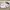 Nike Sportswear Sneakers Pria white navy photo 3