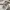 Burberry Luxury T-shirt Pria white photo 5