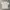 Burberry Luxury T-shirt Pria white photo 2