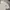 Burberry Luxury T-shirt Pria White