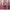 Muslim Midi Dress Wanita Pink