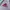 Adidas Streetwear Sportswear Jersey Pria white photo 4