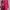 Minimalist Midi Dress Wanita Pink