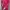 Minimalist Midi Dress Wanita Pink