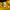 Adidas Y2K Sportswear Jersey Pria black yellow photo 6