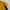 Adidas Y2K Sportswear Jersey Pria black yellow photo 3
