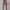 Sportswear Bodycon Dress Wanita Tan