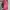 Coach Wallet Wanita pink khaki photo 3