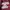 Russell Athletic Vintage Y2K Hoody Pria burgundy white photo 2