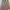 Ellesse Vintage Avant Garde Skirt Wanita tan photo 6