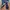 Skechers Sportswear Sneakers Pria navy photo 2