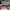 Vintage Y2K Sunglass Pria black photo 2