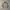 Polo Ralph Lauren Vintage Y2K Windbreaker Kids Tan Khaki