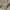 Polo Ralph Lauren Vintage Y2K Windbreaker Kids tan khaki photo 5