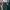 Coquette Casual Midi dress Wanita green photo 1