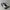 New Balance Streetwear Casual Sneakers Kids white gray photo 7