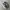 New Balance Streetwear Casual Sneakers Kids white gray photo 4
