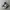 New Balance Streetwear Casual Sneakers Kids White Gray