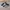 Adidas Gorpcore Indie Sneakers Pria white photo 1