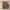 Adidas Gorpcore Indie Sneakers Pria white photo 5