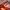 Y2K Casual Sweater Wanita red orange photo 2