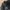 ZARA Biker Casual Leather jacket Wanita black photo 3