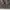 Carhartt Streetwear Parka Pria cream photo 3