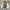 Vintage Minimalist Bomber jacket Pria cream photo 3