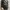 Michael Kors Casual Crossbody Bag Wanita black photo 7