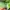 Calvin Klein Streetwear Sportswear Track jacket Pria green photo 7