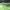 Calvin Klein Streetwear Sportswear Track jacket Pria green photo 5