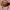 Guess Bags & purse Wanita tan brown photo 5