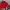 Nike Vintage Streetwear Windbreaker Pria red black photo 5