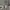American Eagle Casual Polo shirt Pria gray photo 5