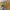 Casual Sweater Pria yellow photo 2