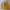 Casual Sweater Pria yellow photo 1