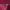 Polo Ralph Lauren Luxury Casual Polo shirt Pria burgundy photo 4
