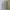 Pancoat Casual Sweater Pria multicolor photo 4