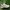Asics Sportswear Casual Sneakers Pria tan photo 5