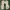Asics Sportswear Casual Sneakers Pria tan photo 7