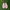 VANS Streetwear Casual Sneakers Pria pink photo 2