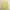 Uniqlo Y2K Casual Cardigan Wanita yellow photo 7