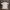 Adidas Casual T-shirt Pria White