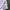 Covernat Casual Sweatshirt Pria cream photo 5